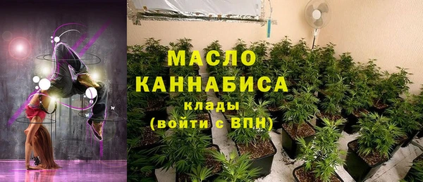 гидра Арсеньев