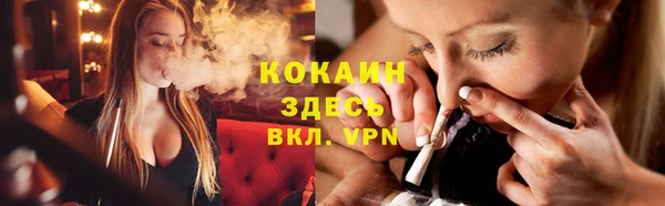гидра Арсеньев