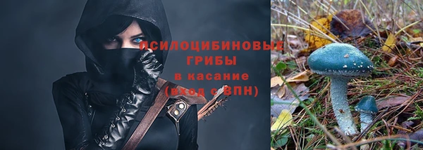 ПСИЛОЦИБИНОВЫЕ ГРИБЫ Алексин