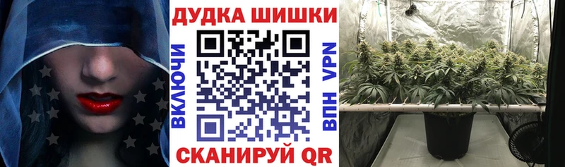 Бошки марихуана семена  купить  цена  Ленинск 
